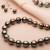 Which shade of pearl holds the most value？Pearl color 101
