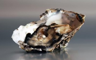 Pearl Luster: The Most Valuable Aspect To Make the Pearl Stand Out