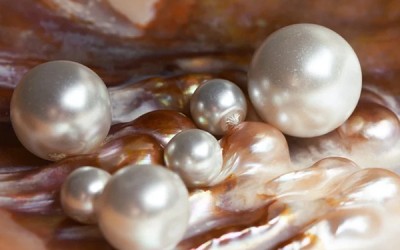 12 Facts About Pearls That You Might Not Know