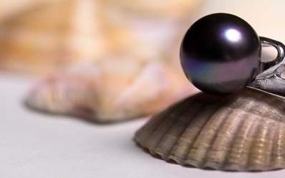 Tahitian Pearls - A 5-minute Quick Buying Guide