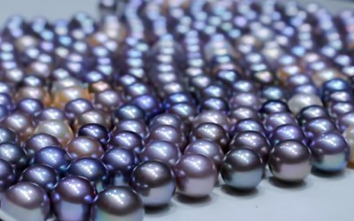 A Quick Guide to Choosing the Perfect Pearl Color