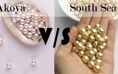Akoya Vs. South Sea Pearls – How To Choose The Perfect Strand