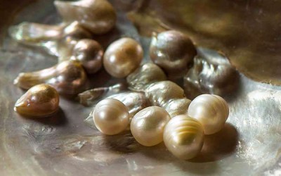 One Trick to Help You Distinguish Between Real and Fake Pearls