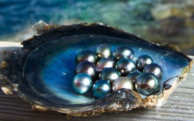 Black Pearls: Meaning, Properties, and Intriguing Facts