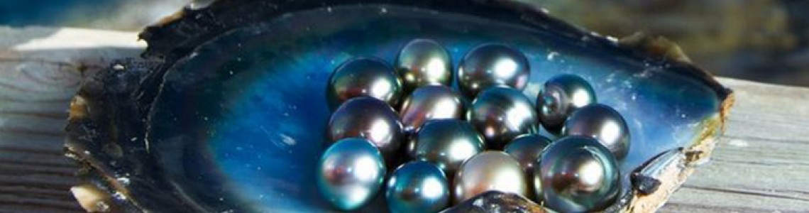 Decoding the Mystery of Black Pearls: A Guide to Choosing the Perfect One