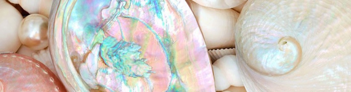 Everything You Need to Know about Mother of Pearl