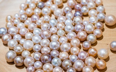 Freshwater Pearl Basics: All You Need to Know