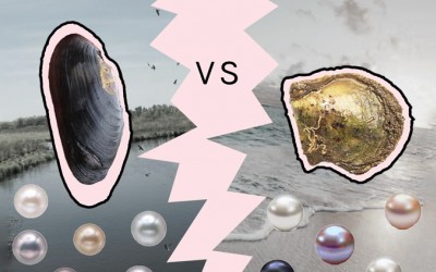 Freshwater Vs. Saltwater Pearls: Quick Ways To Choose One!
