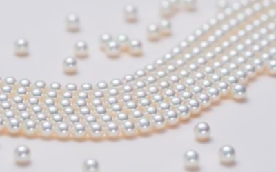 How Much Does Akoya Pearls Cost?
