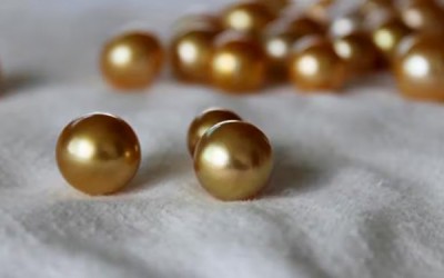South Sea Pearls: The Ultimate Symbol of Luxury