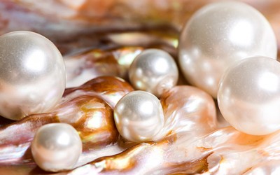 Pearls: The Gift That Speaks Volumes - Here’s Why