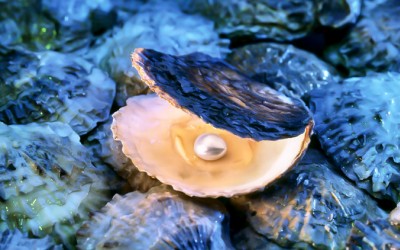 Unveiling the Mysteries: Exploring the Origins and Source of Pearls