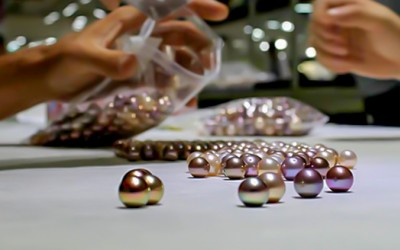 What Types of Pearls Are Likely to Appreciate in Value?