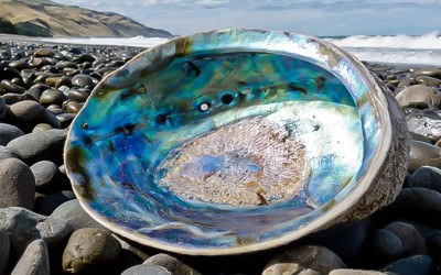 What is Mother of Pearl? Everything You Need to Know