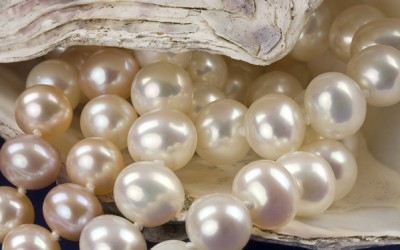 What is the Best Kind of Pearl to Buy?