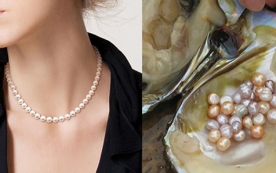 Freshwater Pearl Size: Everything You Need to Know
