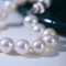 White Freshwater Pearl Necklace