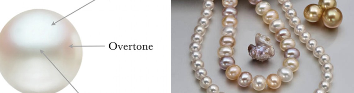 The Ultimate Guide to Pearl Pricing: How Much Do Pearls Cost?
