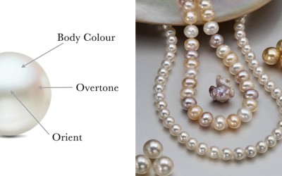 The Ultimate Guide to Pearl Pricing: How Much Do Pearls Cost?