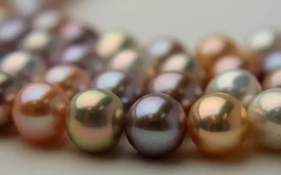 Expert Guide to the Comprehensive Value of Freshwater Pearls