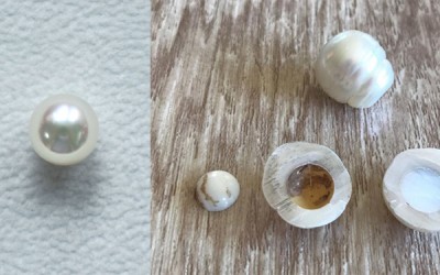 Decoding the Contrast: Unraveling Natural vs. Cultured Pearls