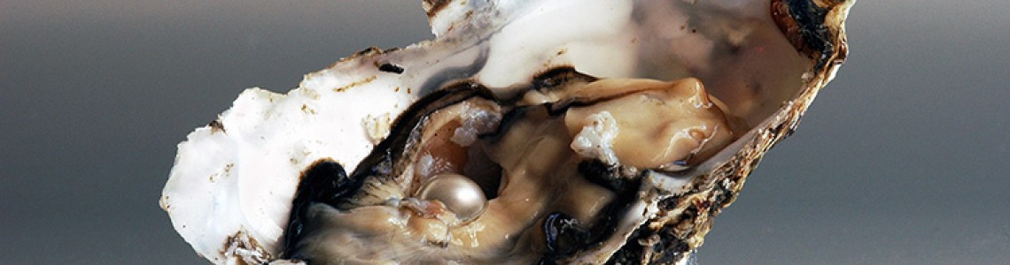 What Is an Oyster? How Do Oysters Make Pearls?