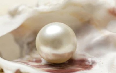Exploring the Mystique of the Good Luck Pearl
