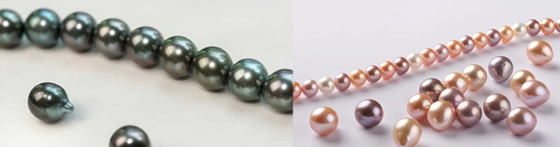 Saltwater vs Freshwater Pearls: Which Pearl is Best?