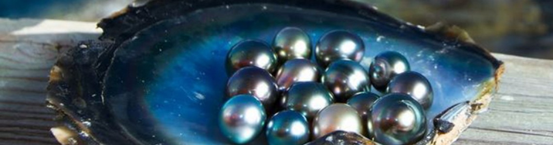 Discovering Tahitian Black Pearls: A Comprehensive Guide with Striking Visuals