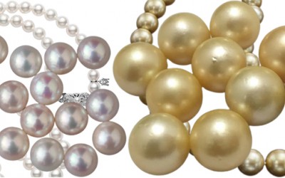 Akoya vs. White South Sea: The Pearl Preference Dilemma