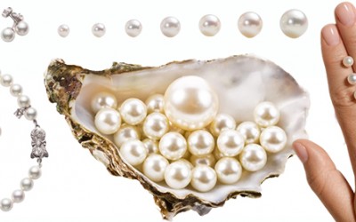 One Minute to Tell You the Types of Sea Pearls