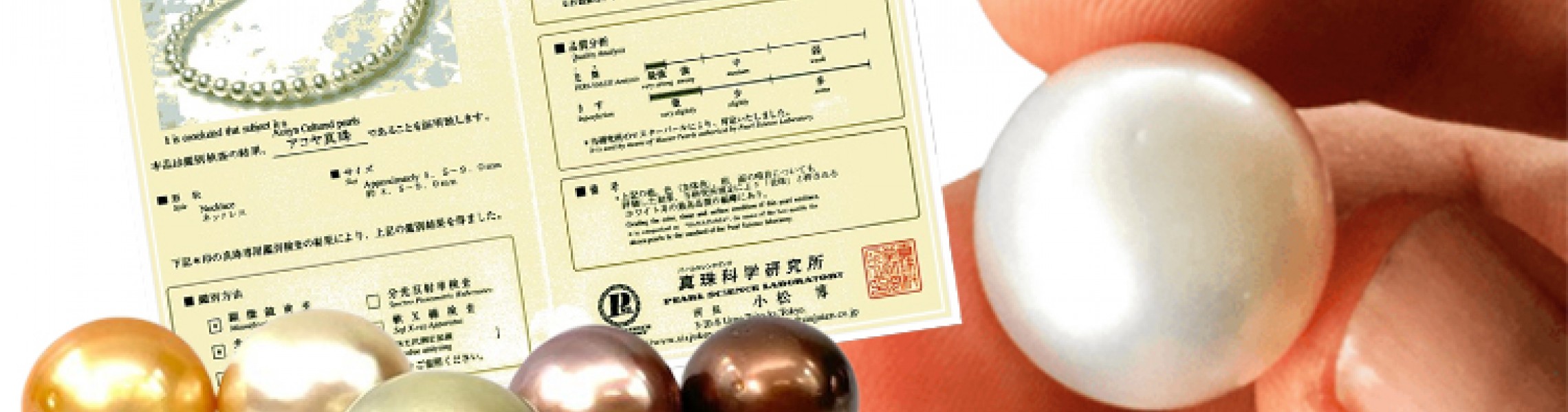 A Comprehensive Guide to South Sea Pearl Grading: Everything You Need ...