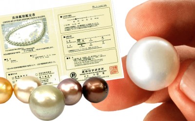A Comprehensive Guide to South Sea Pearl Grading: Everything You Need to Know