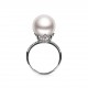 11.0-12.0mm White Freshwater Pearl Pelle Ring - AAAAA Quality