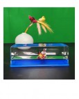 Thousand Sunny  + $2.00 