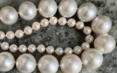 Akoya Vs. South Sea Pearls - Which is Right For You?