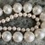 Akoya Vs. South Sea Pearls - Which is Right For You?
