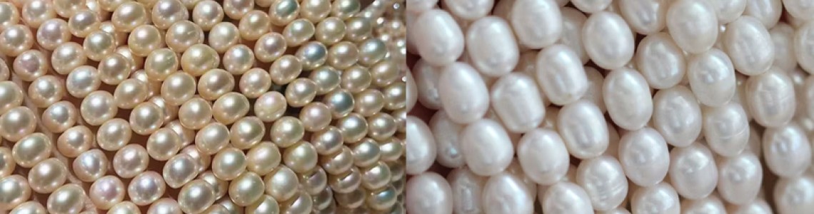 What Is the Difference Between Cheap and Expensive Pearls? What Is the Difference Between Cheap and Expensive Pearls?