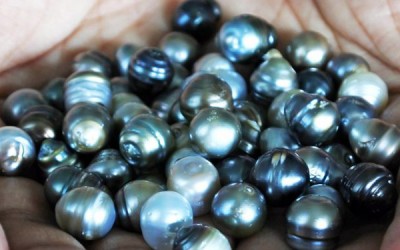 Is Cultured Pearl Real Pearl: A Quick Guide To Tell