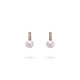 7.5-8.0mm White Freshwater Pearl & Diamond Belle Earrings in 18K Gold - AAAA Quality