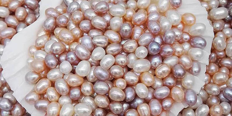 Are Freshwater Pearls Real Pearls? The Ultimate Buying Guide